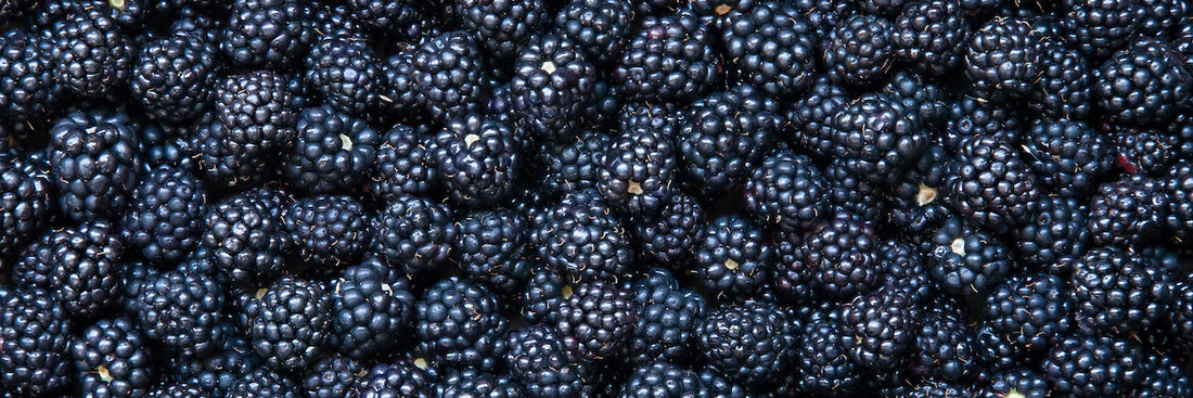 Blackberries