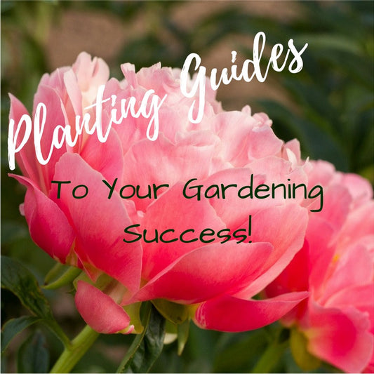 Garden Planting Guides