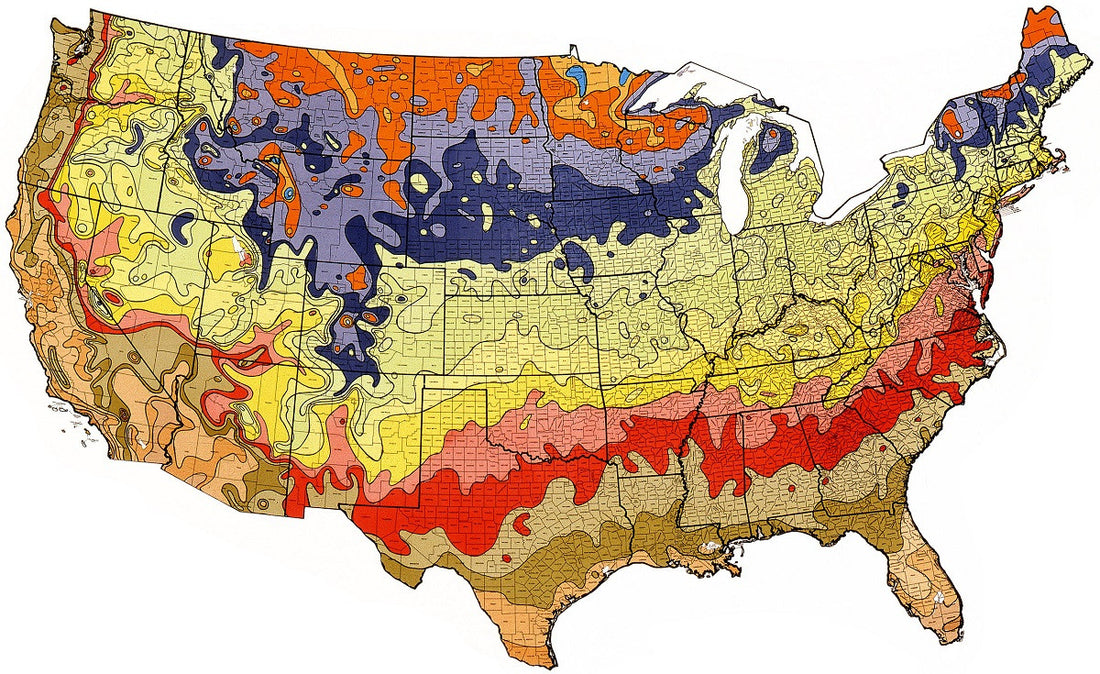 What is Plant Hardiness and How Do I Find My Climate Zone?