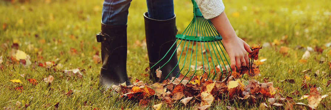 Top 10 Basics of Fall Gardening