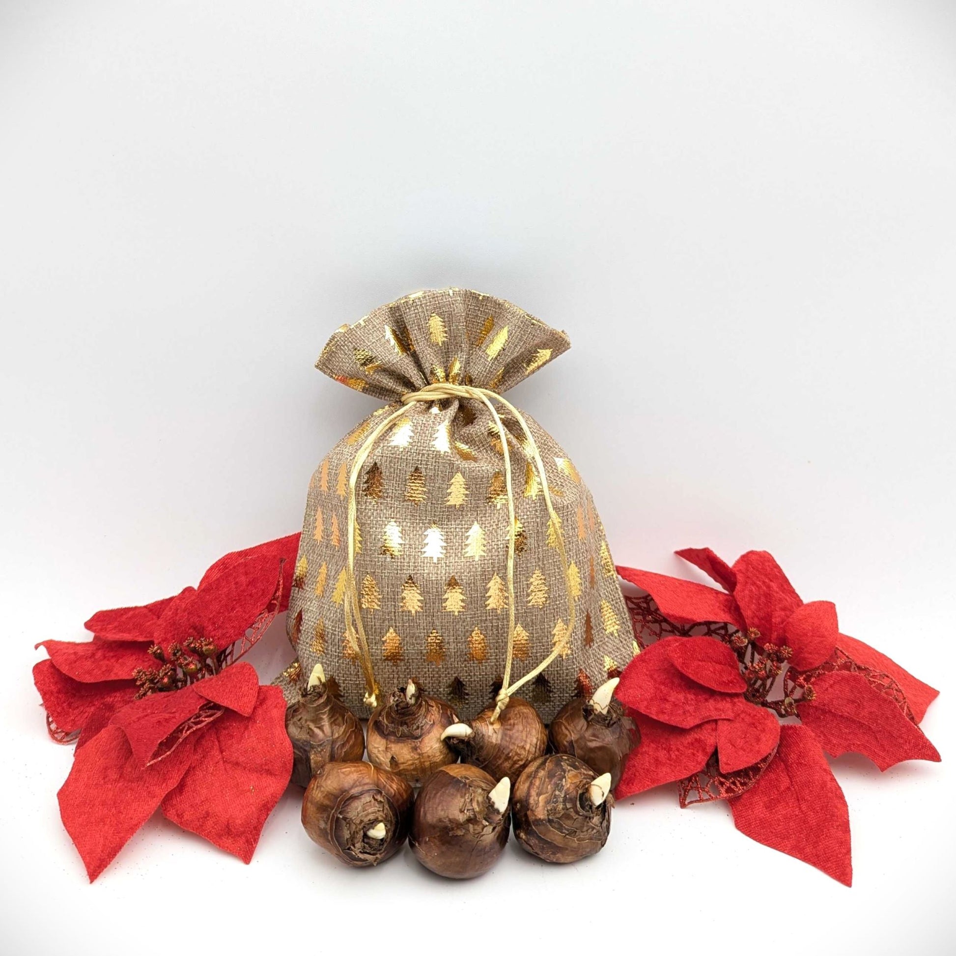 paperwhite bulbs in a burlap gift bag with gold trees