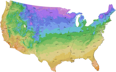 Climate Zone 5 – Easy To Grow Bulbs