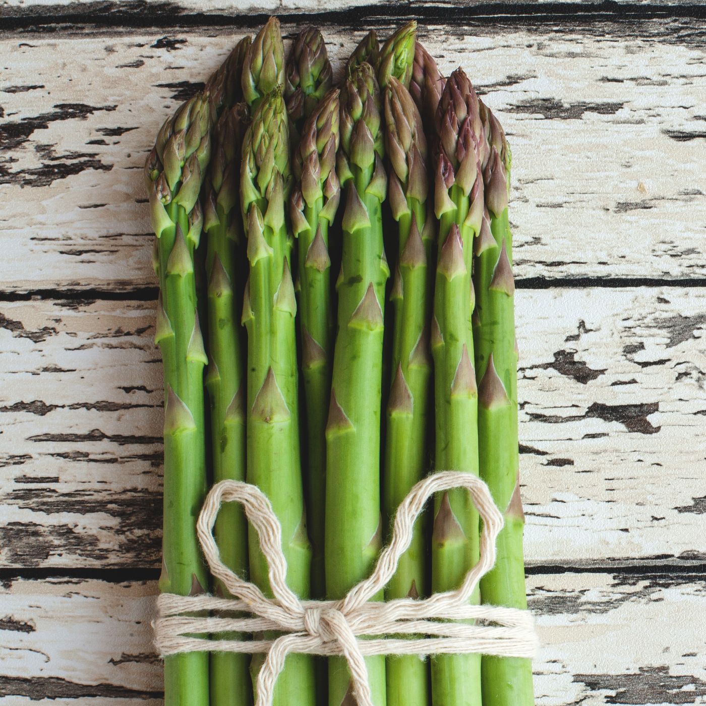 Asparagus Jersey Supreme stalks