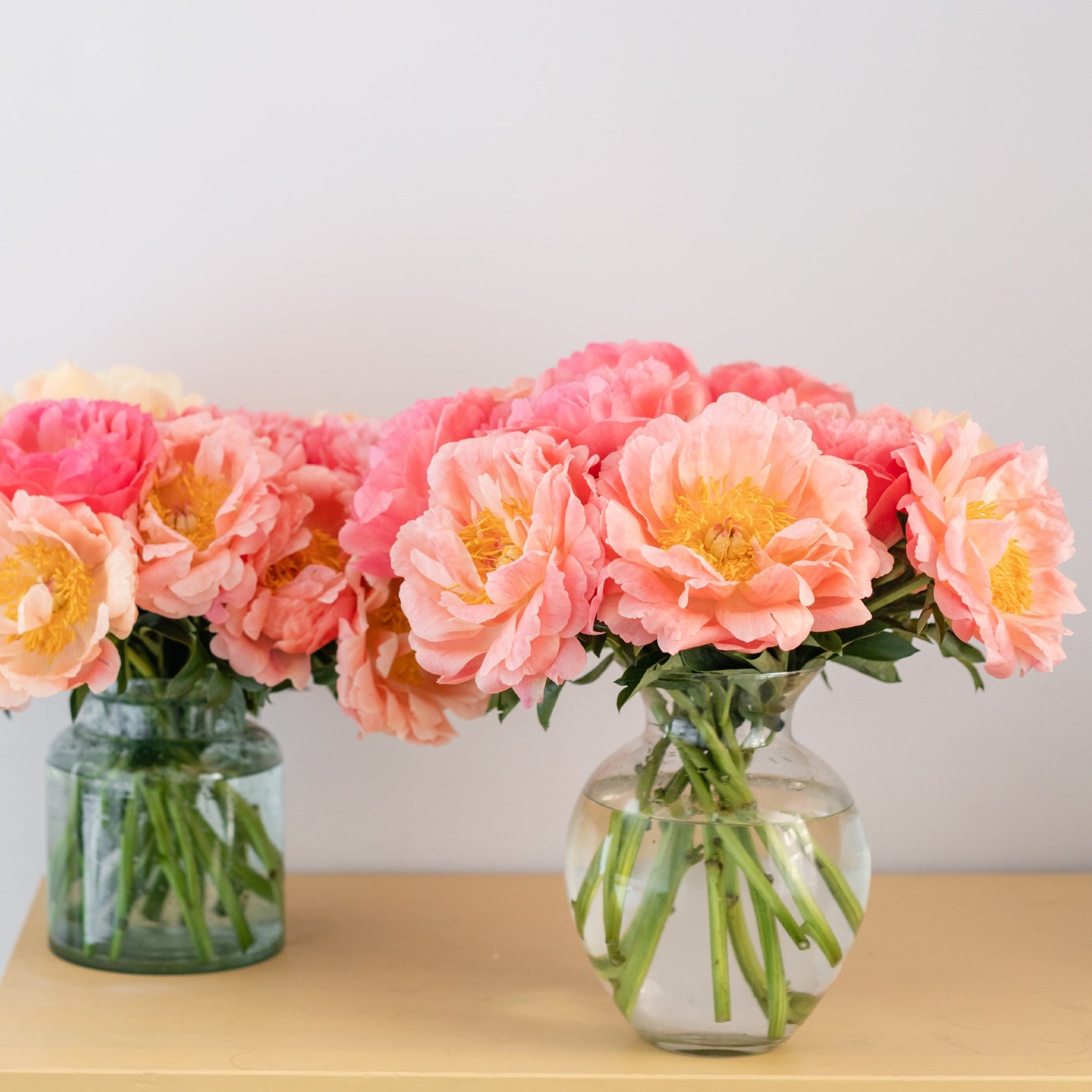 pink and coral peony blooms in vase