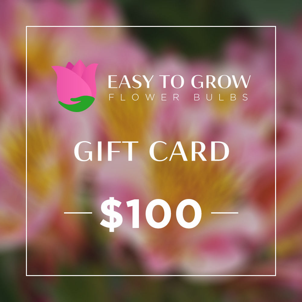 Gift e-Card - $100