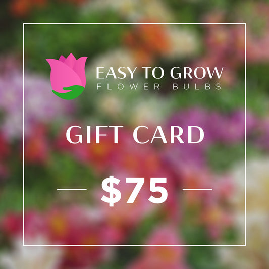 Gift e-Card - $75