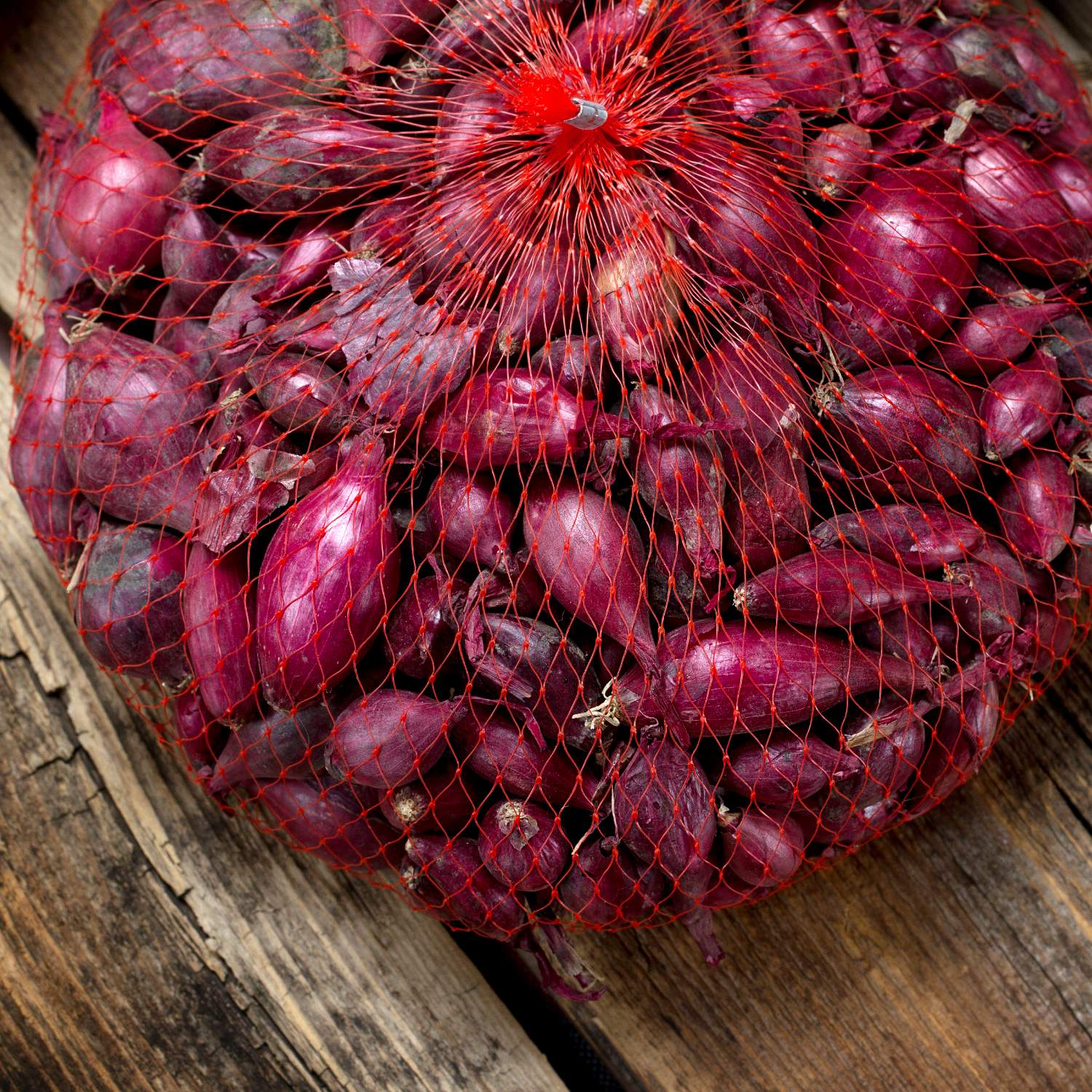 red onion sets in bag