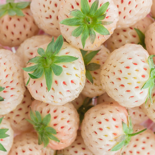 white strawberries