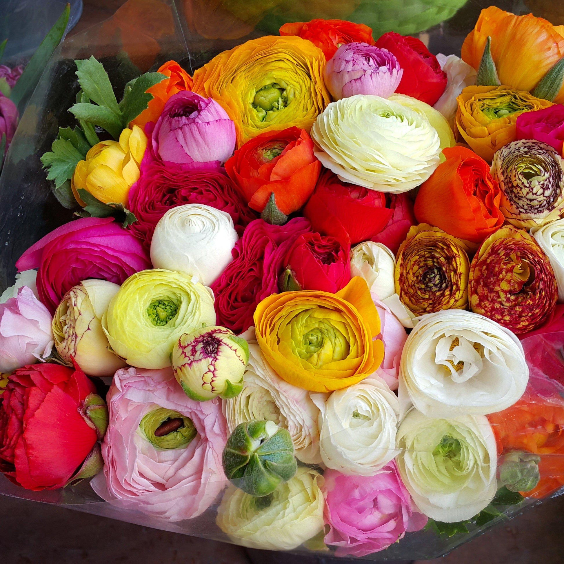 Colorful Ranunculus Bouquet